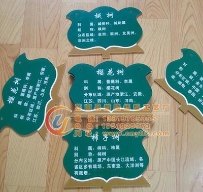 校園綠化新亮點(diǎn) 卡通樹(shù)木掛牌，讓樹(shù)木也有“身份證”